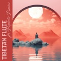 Buddhism Academy - Prophetic Dreams