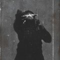 Butchak - T.O.P