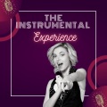The Instrumental Experience