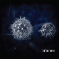 cranes - Wonderful Things