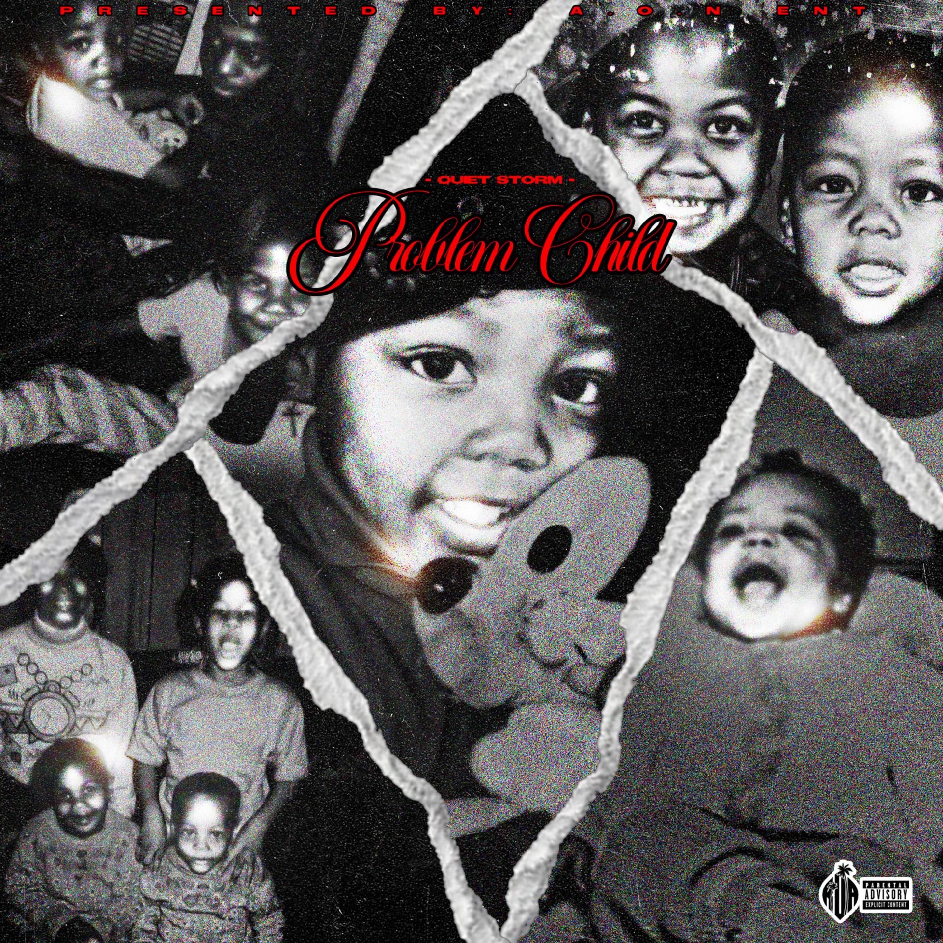 Quiet Storm - Problem Child