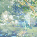 浅淡云添 - 第七年