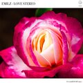 Love Stereo