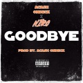 GOODBYE (feat. ACASHONDECK)(Explicit)