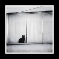 Macro - Manifiesto