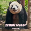 Sunl苏妮啊 - Bite Me
