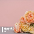 素星 - 伤心酒店