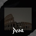 Yusuf Ekşioğlu、Vehbi İnegöl - Pesa