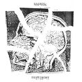 Testimony (Explicit)