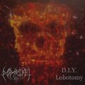 D.I.Y. Lobotomy (Explicit)