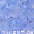 羡慕风羡慕雨