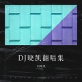DJ晓凯 - 一路往南走