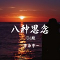 八种思念 (DJHY版)