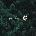 Robson - Trenches