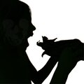 the remains - My Pet Is A Bat