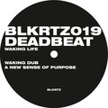 Deadbeat - Revelations in Dust