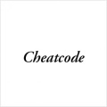 Cheatcode (feat. QUINCY)(Explicit)