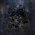 stardust (Explicit)