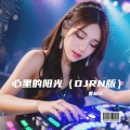 心里的阳光 (DJRN版)