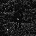 SERAPHIM、Everett Latte - sharing needles