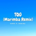 Kayhin - TQG (Marimba Version)