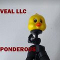 PONDEROUS