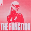 The Function (Explicit)