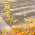 袁小葳、pro - 秋秋秋