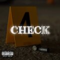 Check (Explicit)