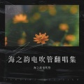 海之韵电吹管 - 刘老根想丁香