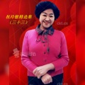 祝玲敏 - 梅花香