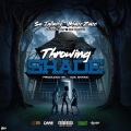 Throwing Shade (feat. Blacc Zacc)(Explicit)