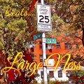 Large Ness - Shire