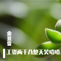 金亚雷 - 工资两千八整天笑哈哈