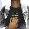 Diego Mcn - Slow Heart