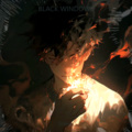 BLACK WINDOWS