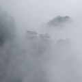 天上有情人 - 问问自己