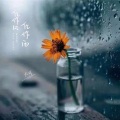 大可 - 化作风化作雨