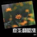 夏柒 - 123木头人