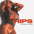 HIPS (feat. O.T. Genasis) (Explicit)