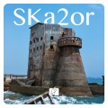 SKa2or、阿星Asking - 百鸟归巢