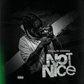 Not Nice (Explicit)