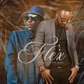Big Pin、Wuod Baba - Flex (Explicit)