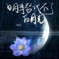 李发发 - 白月季代替不了白月光