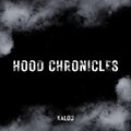 HOOD CHRONICLES