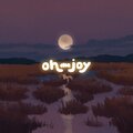 oh the joy. - distant memory