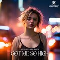 Solven、Hysaze、MICHAIL PAPADATOS、Harshit Singh、Arijit Sinha、RVPTR - Got Me So High