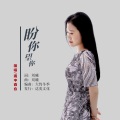 雨中百合 - 盼你望你