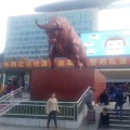 沙马 - 阿呷姐姐