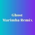 Kayhin - Ghost (Marimba Remix)